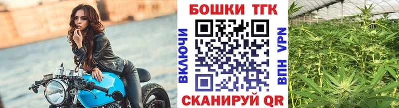 где найти   Шилка  МАРИХУАНА конопля 